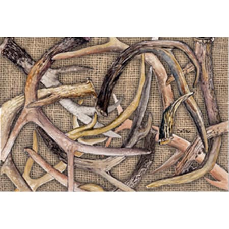 Jensendistributionservices Deer Horns Moisture Wicking Fabric Standard Pillowcase - 20 x 30 in. MI224807